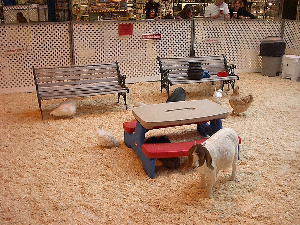 Kinderboerderij De Veldmuis