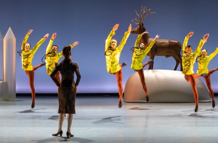 Dansers van Introdans voeren Swan Lake op met moderne choreografie op het podium van Zaantheater