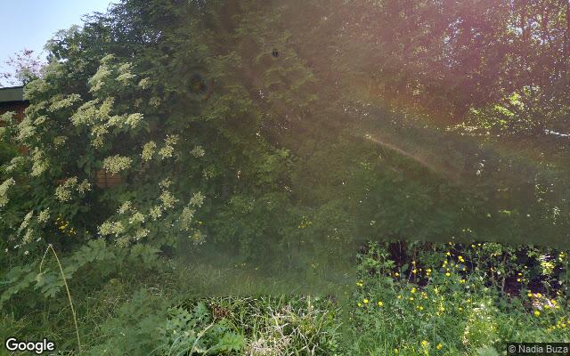 Speeltuin Hogenesplantsoen